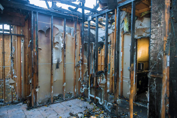 Professional Fire Damage Removal technician working in Anaheim, CA